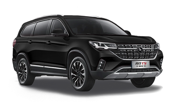 Forthing T5